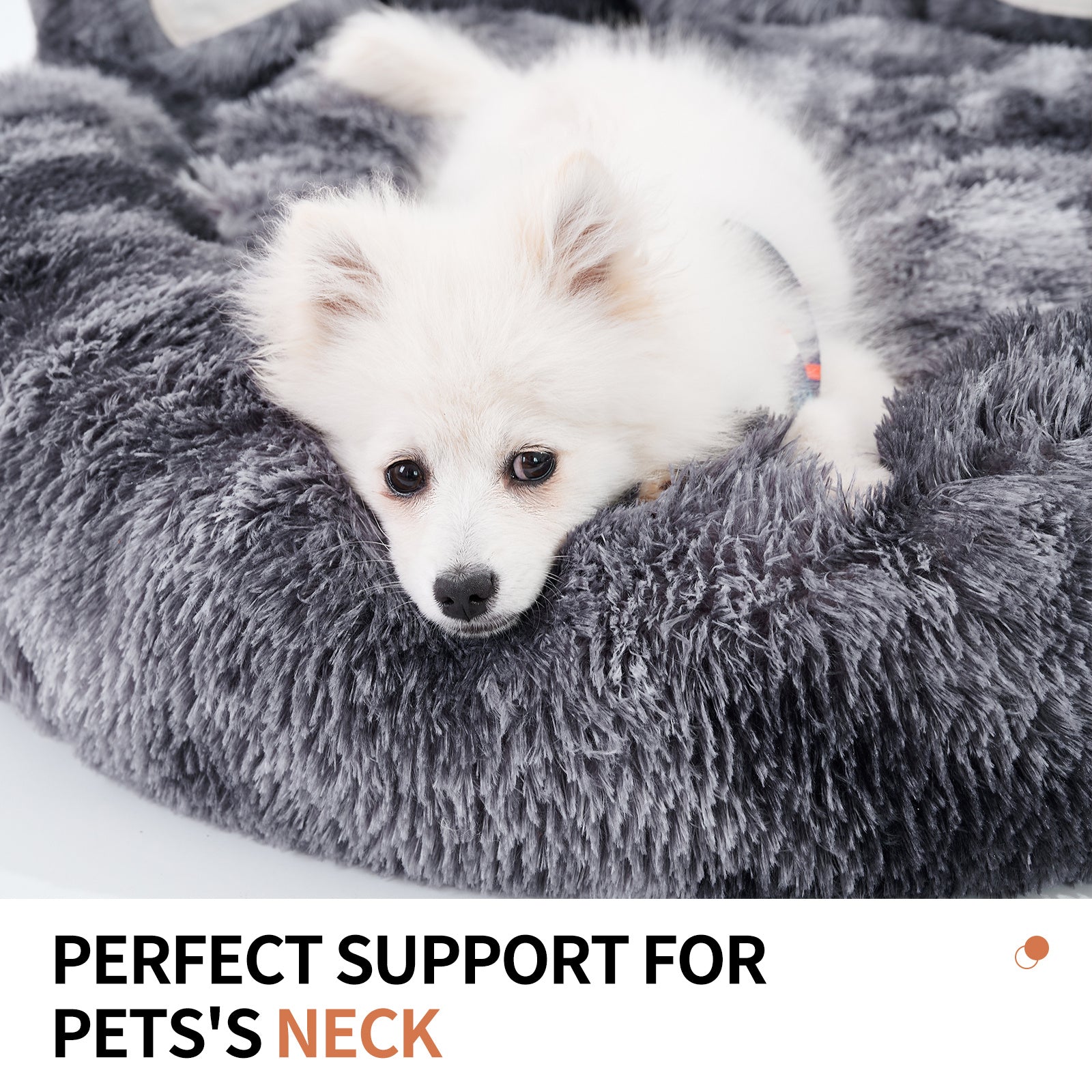 PETART Standing Bear Paw Dog Bed