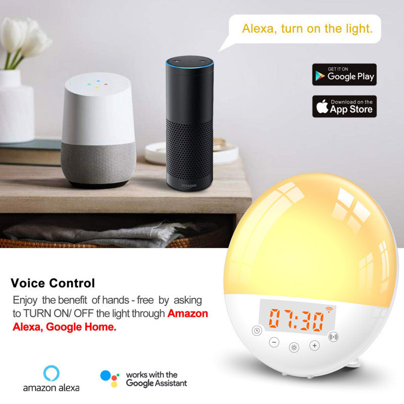 WiFi Voice-Controlled Sunrise Alarm Clock