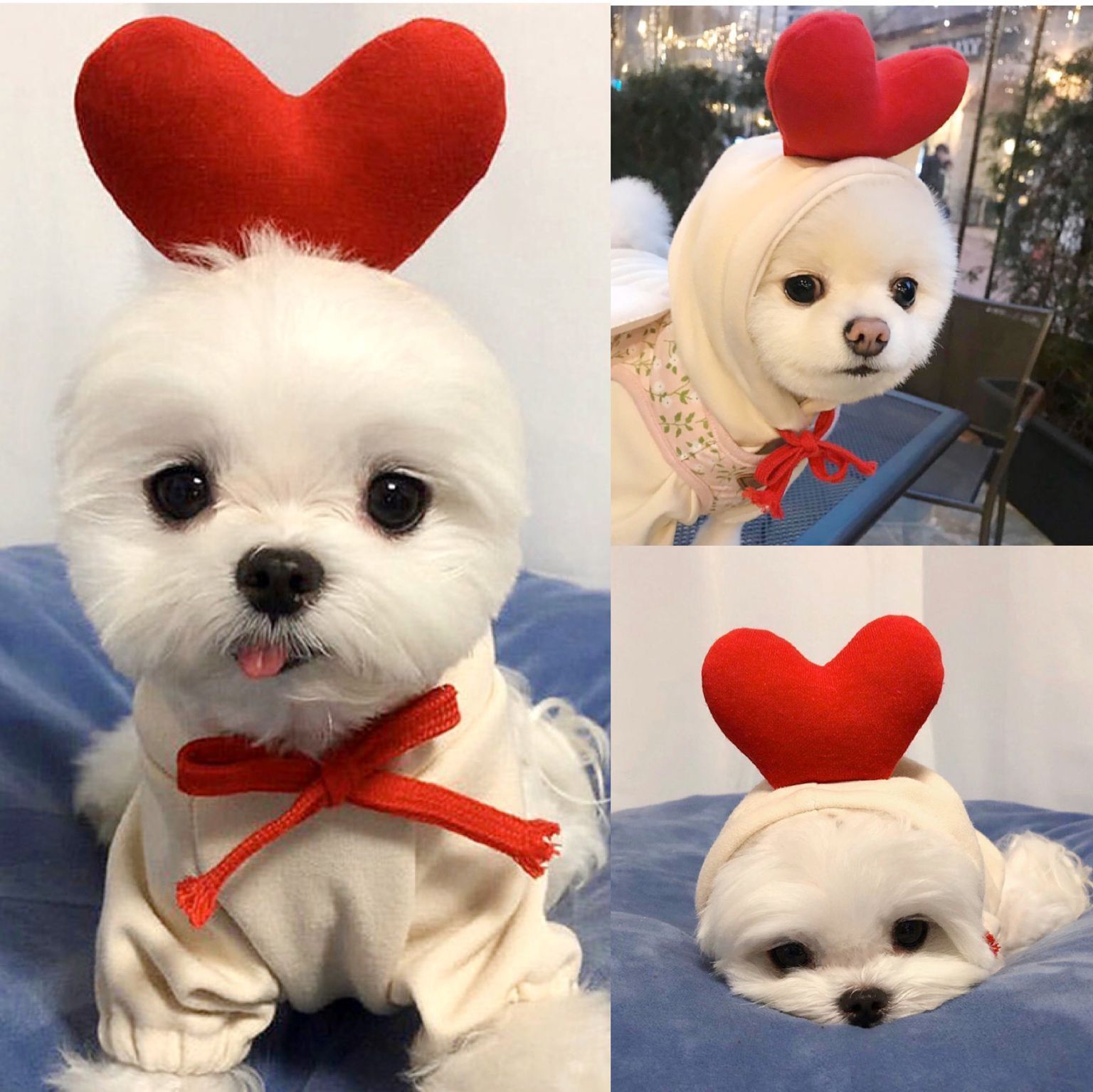 Cozy Drawstring Pet Sweater
