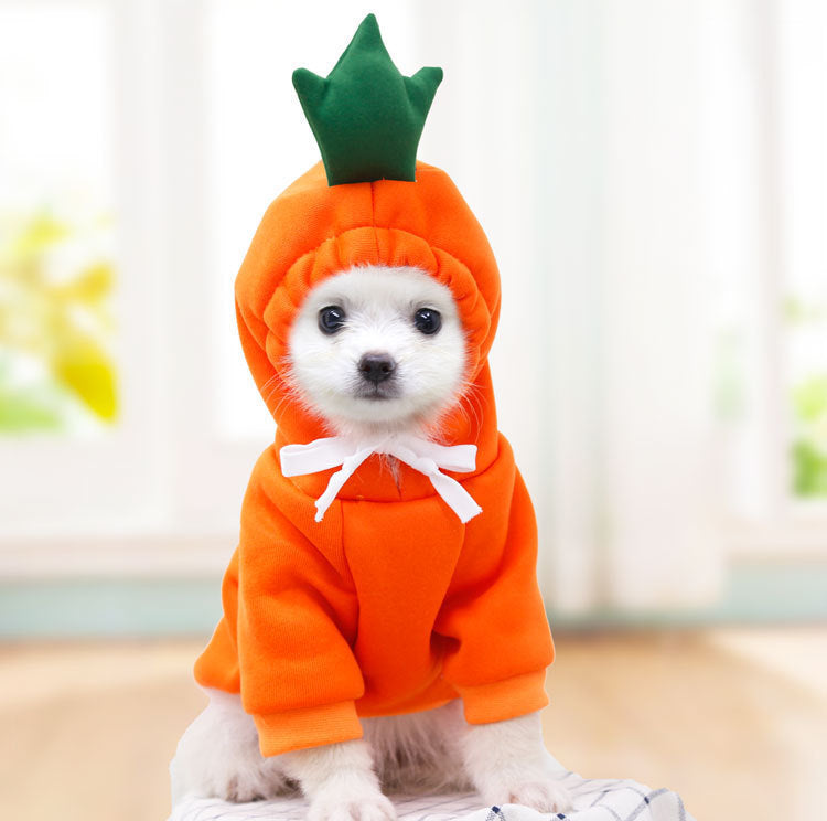 Cozy Drawstring Pet Sweater