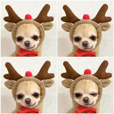 Cozy Drawstring Pet Sweater