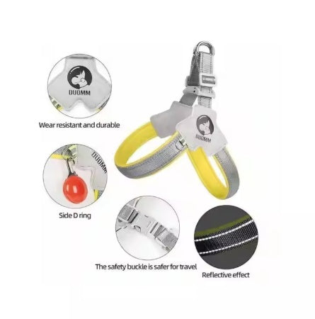 Adjustable Pet Carrier with Reflective No-Pull Leash Set
