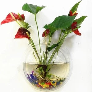 Clear Acrylic Fish Bowl