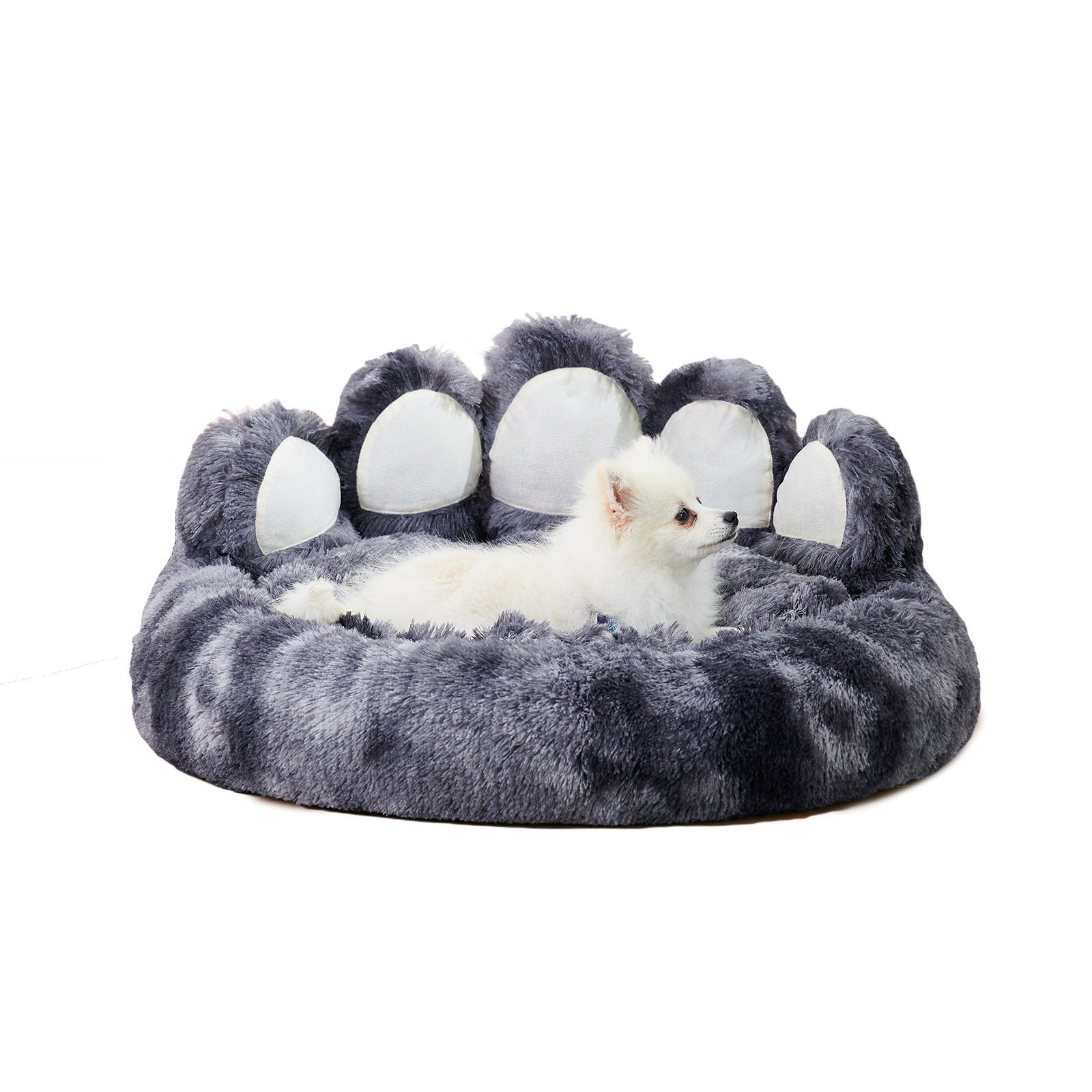 PETART Standing Bear Paw Dog Bed