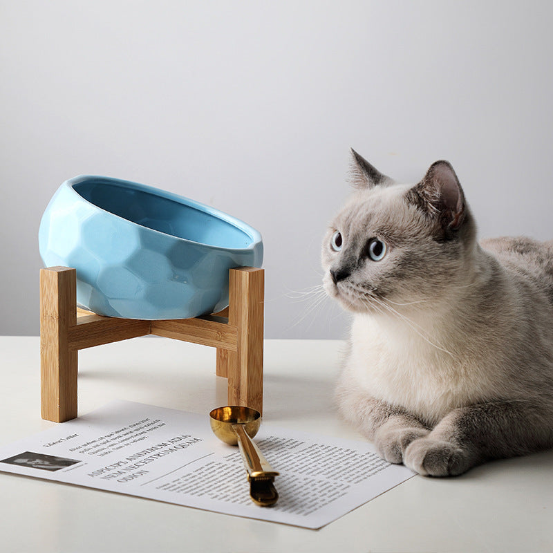 Oblique Mouth Pet Bowl