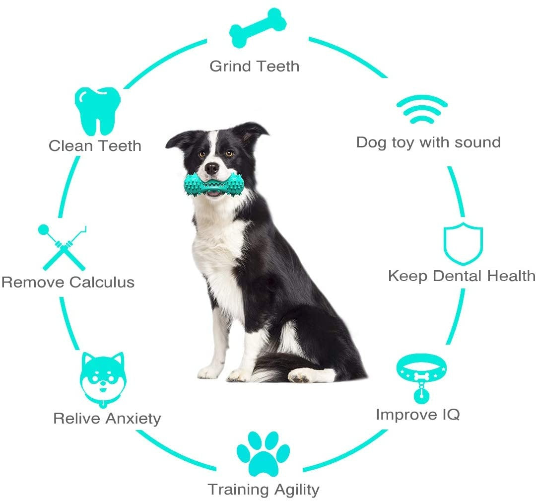 Interactive Dog Toothbrush Chew Toy