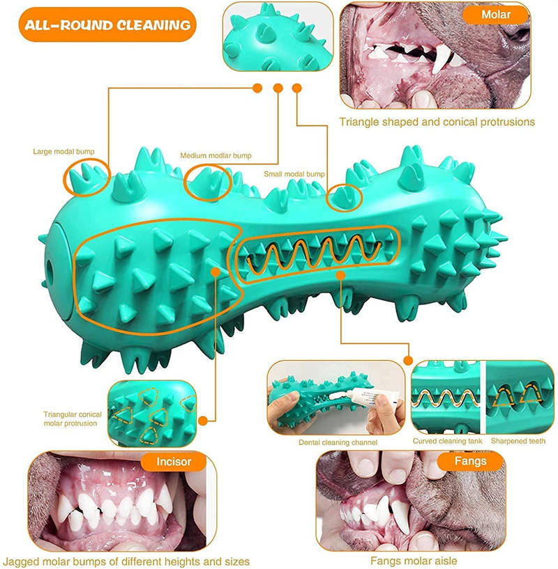 Interactive Dog Toothbrush Chew Toy