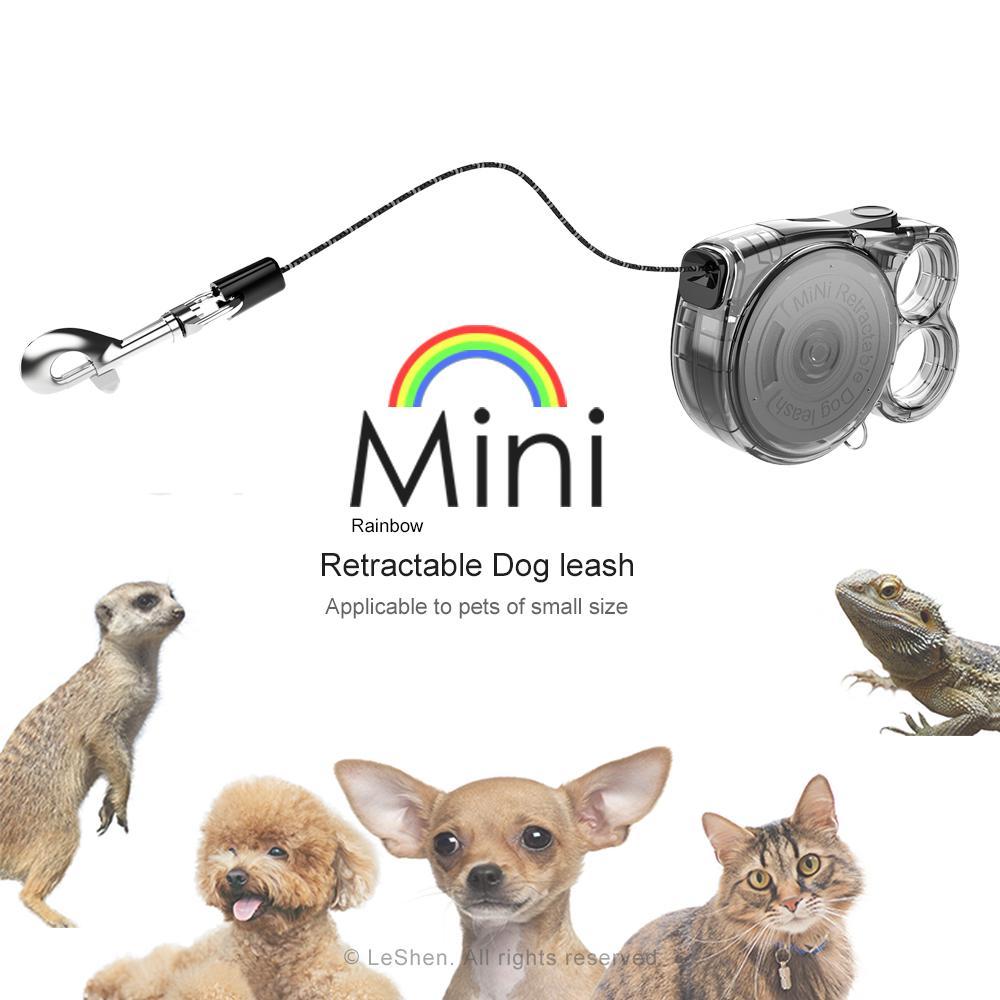 Transparent Rainbow Mini Retractable Leash