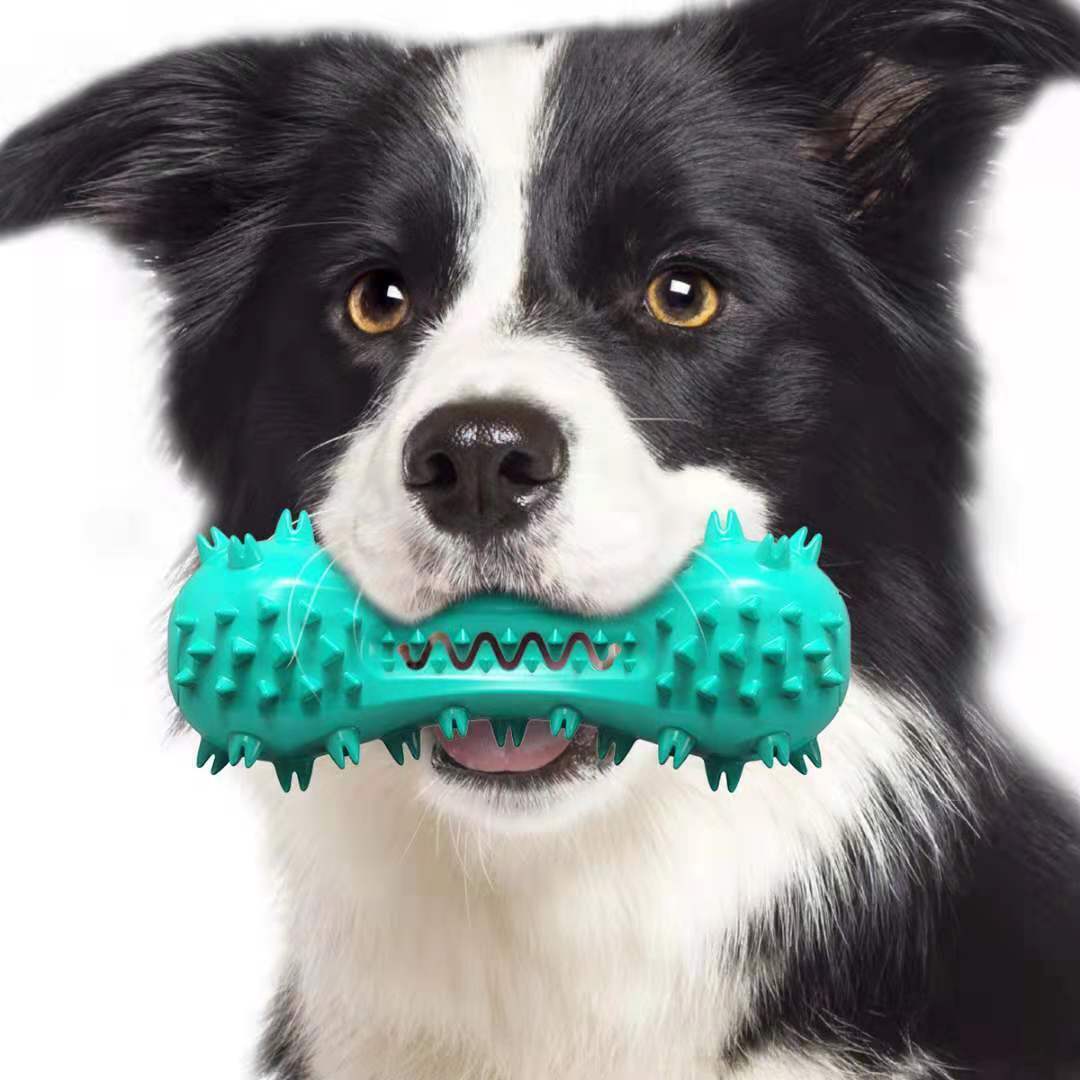 Interactive Dog Toothbrush Chew Toy