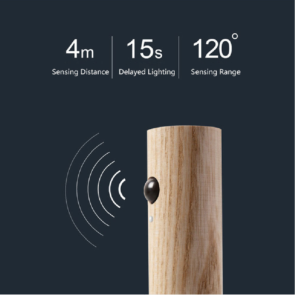 Magnetic Induction LED Night Light