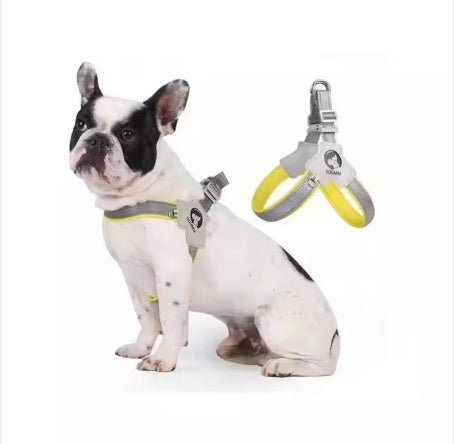 Adjustable Pet Carrier with Reflective No-Pull Leash Set