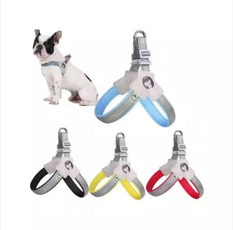 Adjustable Pet Carrier with Reflective No-Pull Leash Set