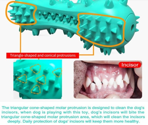 Interactive Dog Toothbrush Chew Toy