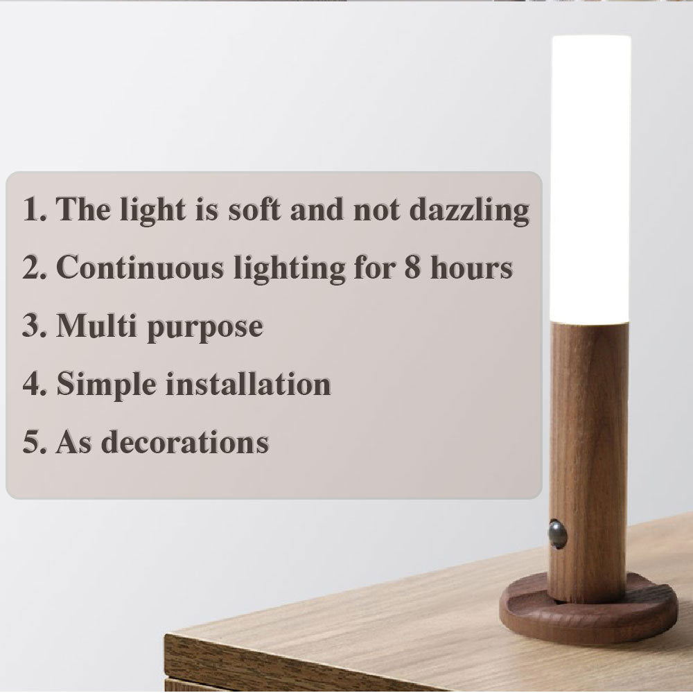 Magnetic Induction LED Night Light