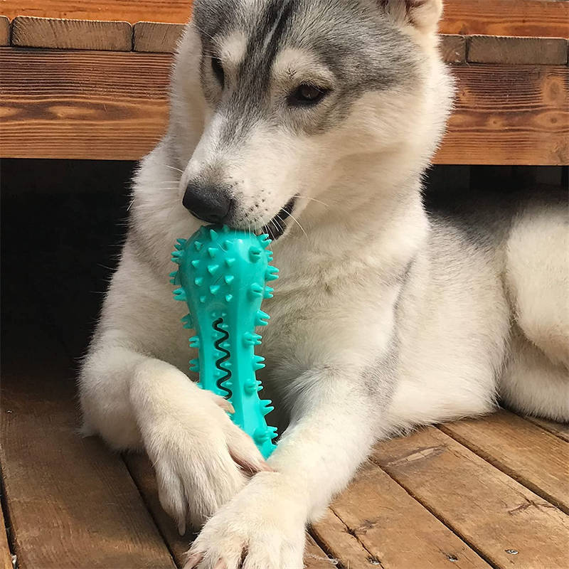 Interactive Dog Toothbrush Chew Toy