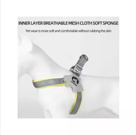 Adjustable Pet Carrier with Reflective No-Pull Leash Set