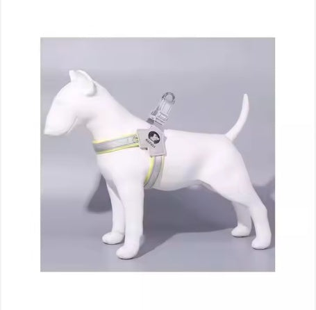 Adjustable Pet Carrier with Reflective No-Pull Leash Set