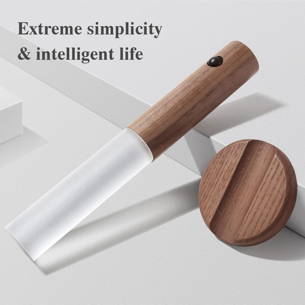 Magnetic Induction LED Night Light